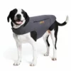 Horse Blankets & Stable Sheets Ariat Team DuraCanvas Insulated Dog Jacket
