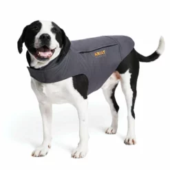 Horse Blankets & Stable Sheets Ariat Team DuraCanvas Insulated Dog Jacket