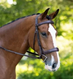 KL Select Hampton Bridle