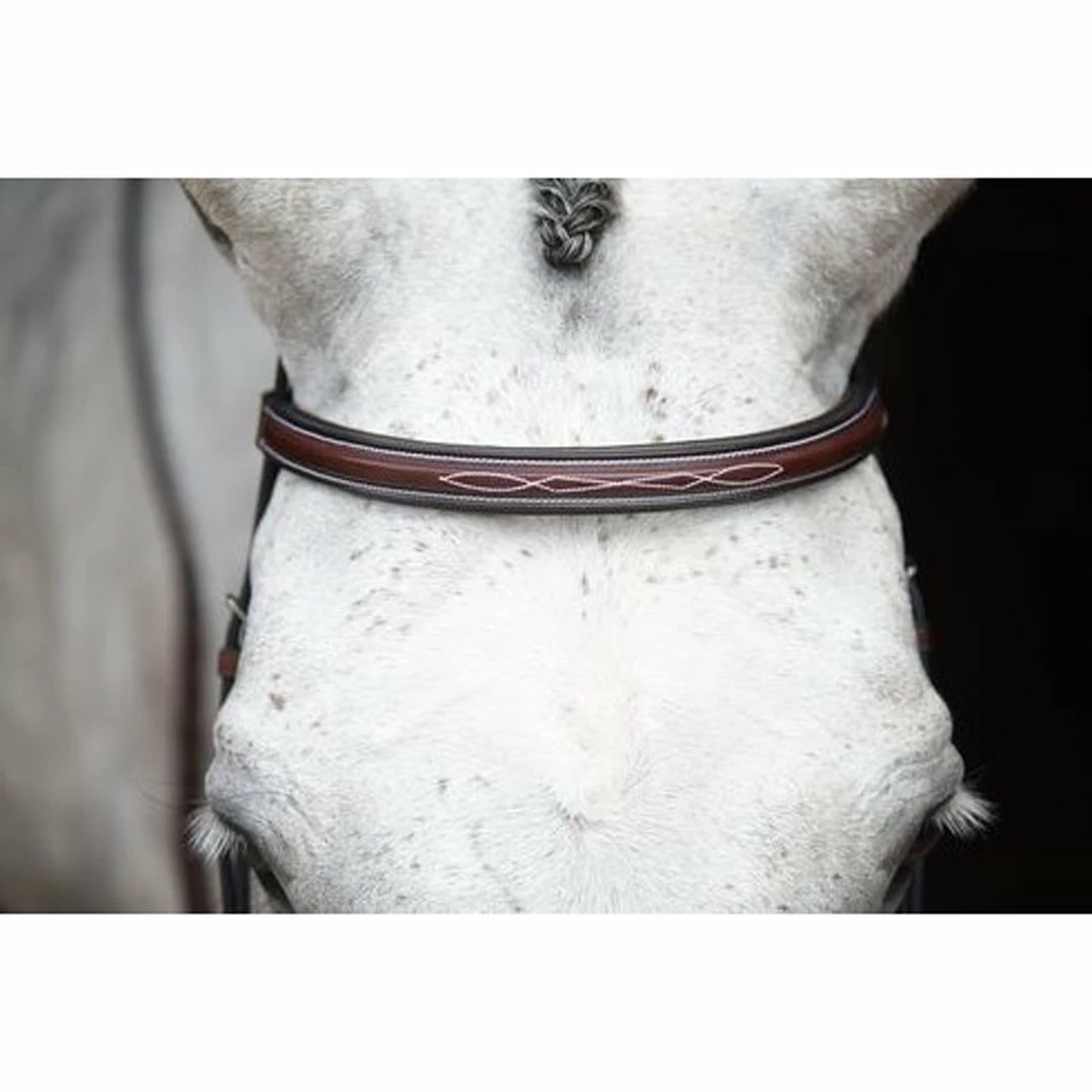 Coupon π KL Select Italia Middleburg Hunter Bridle English Bridles π 4 KL Select Italia Middleburg Hunter Bridle English Bridles