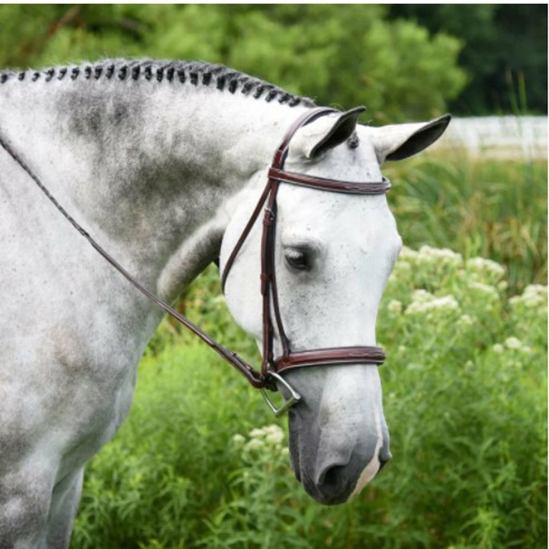 Coupon π KL Select Italia Middleburg Hunter Bridle English Bridles π 3 KL Select Italia Middleburg Hunter Bridle English Bridles