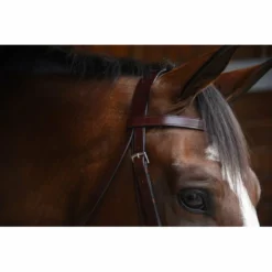 KL Select Italia Foxwell Hunt Bridle
