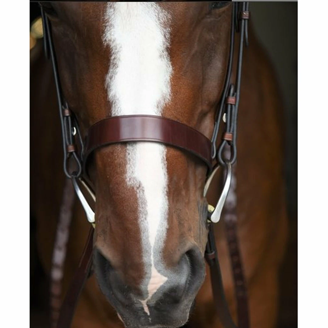 Discount π KL Select Italia Foxwell Hunt Bridle β¨ 5 KL Select Italia Foxwell Hunt Bridle