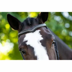 English Bridles KL Select Italia Pirouette Bridle