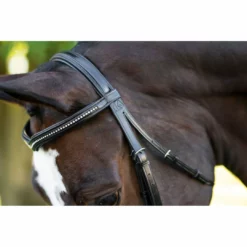 English Bridles KL Select Italia Pirouette Bridle