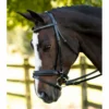 Best deal β€οΈ English Bridles KL Select Italia Pirouette Bridle π 2 English Bridles KL Select Italia Pirouette Bridle