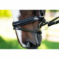 English Bridles KL Select Italia Pirouette Bridle