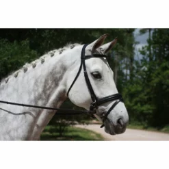 English Bridles KL Select Italia Pirouette Bridle