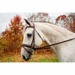 English Bridles KL Select Italia Pirouette Bridle