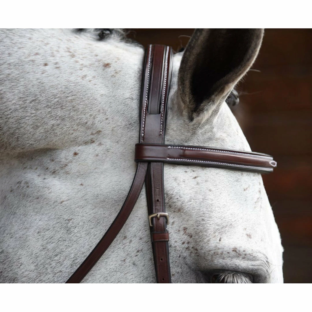 Wholesale 😀 KL Select Italia Venezia Hunter Bridle English Bridles 🧨 4 KL Select Italia Venezia Hunter Bridle English Bridles