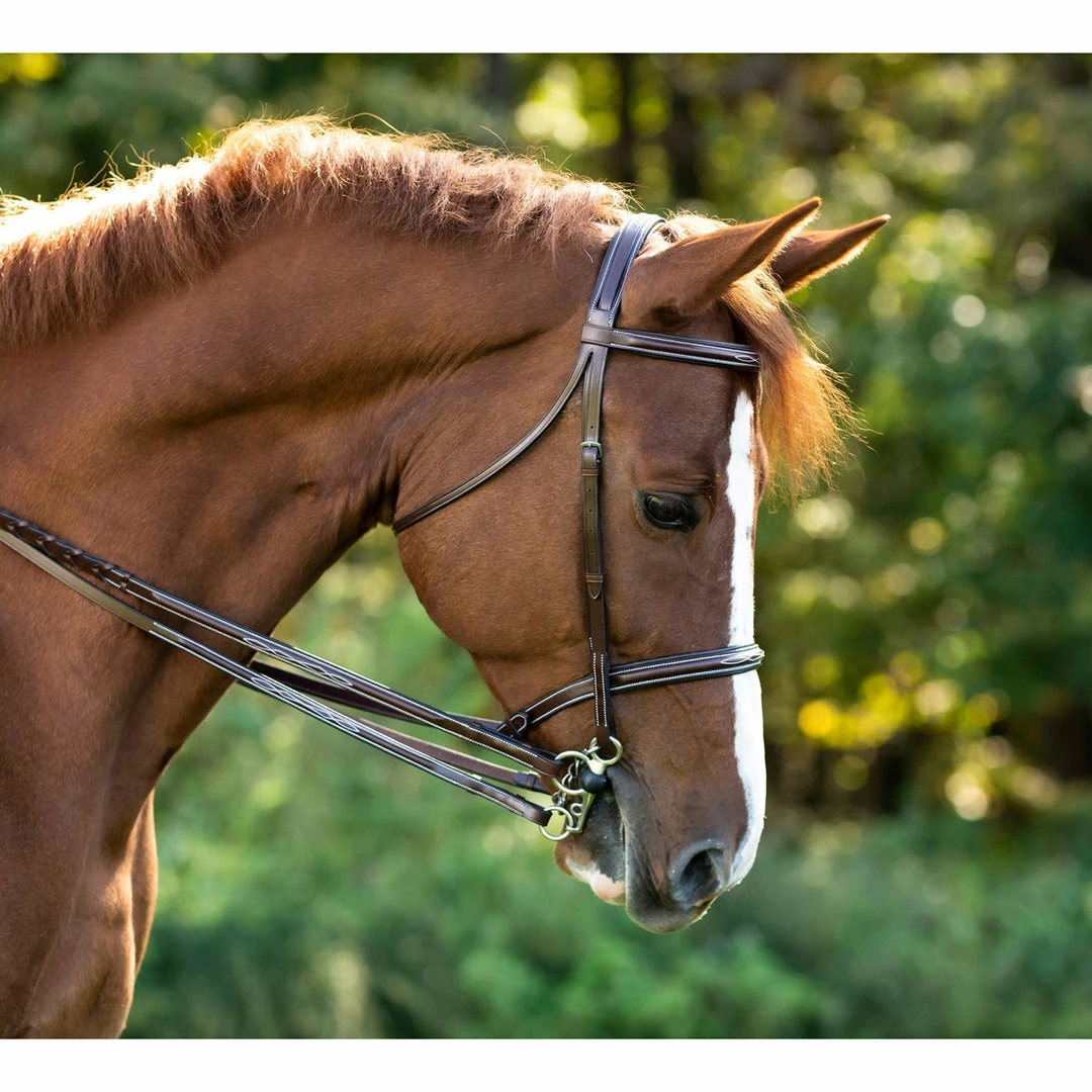 Wholesale 😀 KL Select Italia Venezia Hunter Bridle English Bridles 🧨 3 KL Select Italia Venezia Hunter Bridle English Bridles