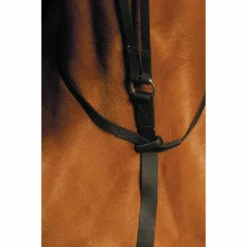 Top 10 π Saddlery Brands International Martingales, Breastplates, Attachments Wintec Running Martingale π 7 Saddlery Brands International Martingales, Breastplates, Attachments Wintec Running Martingale