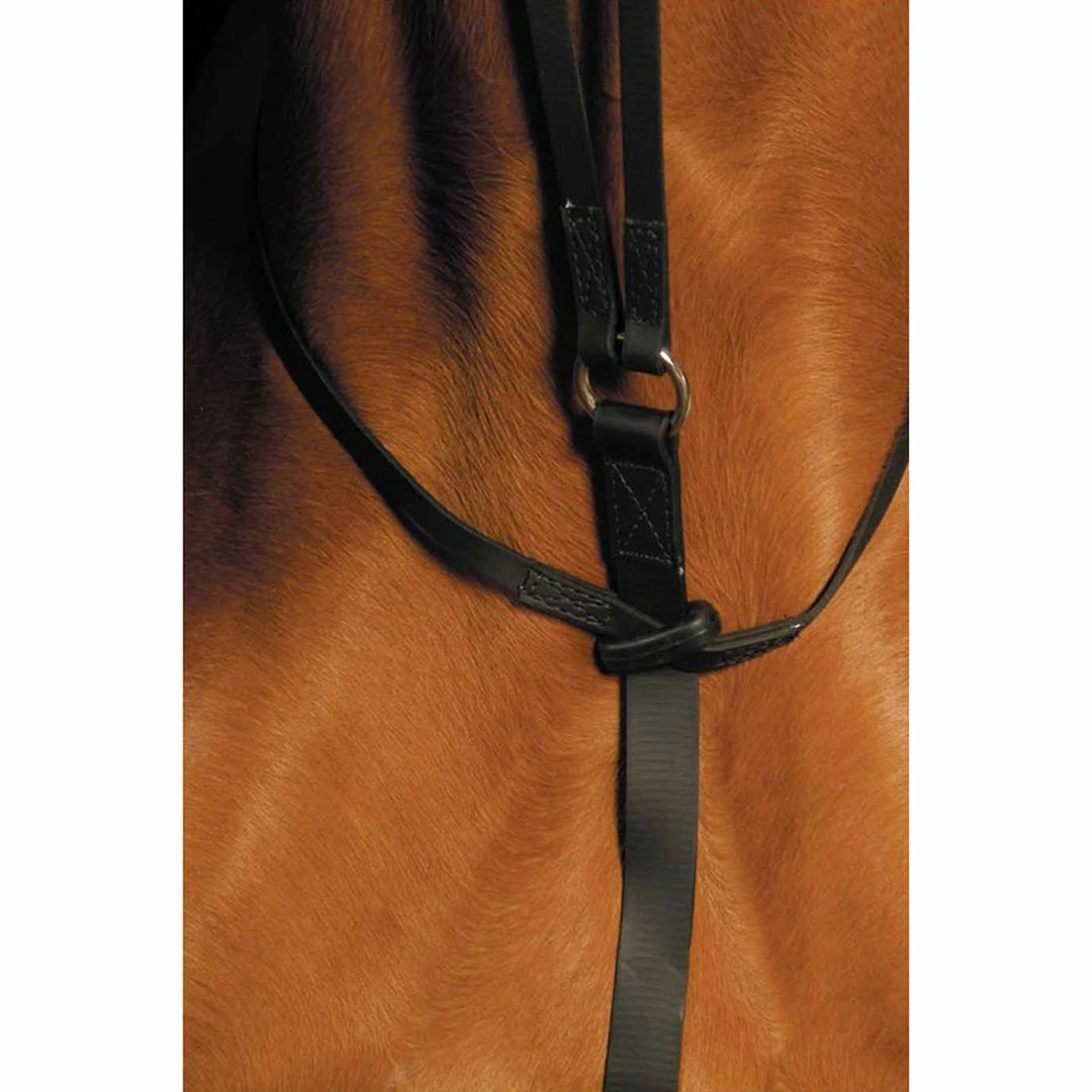Top 10 π Saddlery Brands International Martingales, Breastplates, Attachments Wintec Running Martingale π 5 Saddlery Brands International Martingales, Breastplates, Attachments Wintec Running Martingale