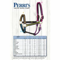 Perri's Leather Perri's Economy Safety Halter Halters & Leads