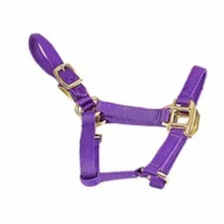 Jacks Mfg Deluxe Mini Halter
