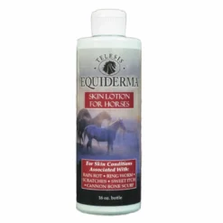 Animal Health Inc Equiderma Skin Lotion Grooming