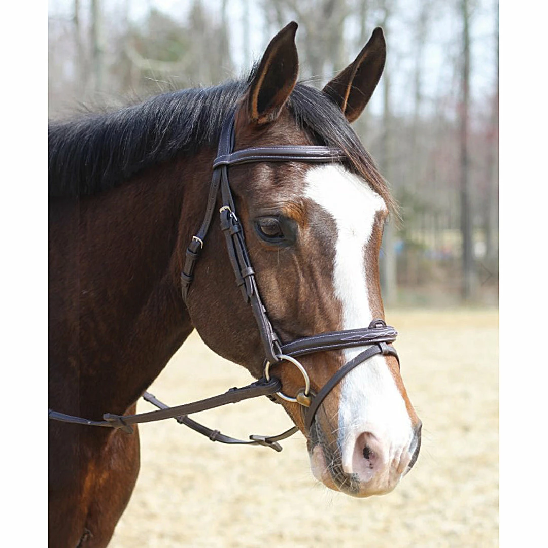 Outlet ๐ฅ JPC Equestrian HDR Kushy Bridle With Detachable Flash โ 4 JPC Equestrian HDR Kushy Bridle With Detachable Flash