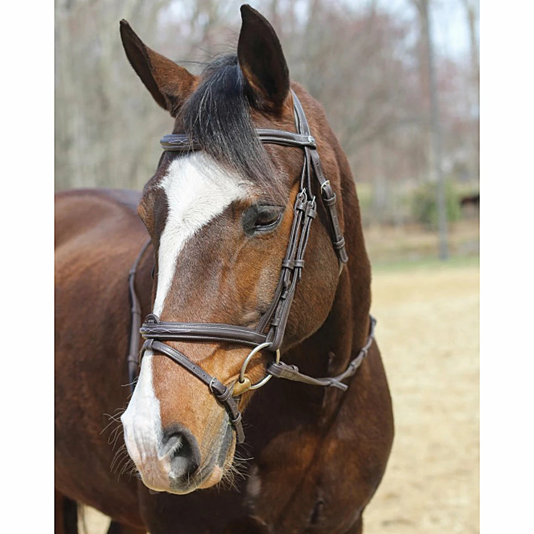 Outlet ๐ฅ JPC Equestrian HDR Kushy Bridle With Detachable Flash โ 3 JPC Equestrian HDR Kushy Bridle With Detachable Flash