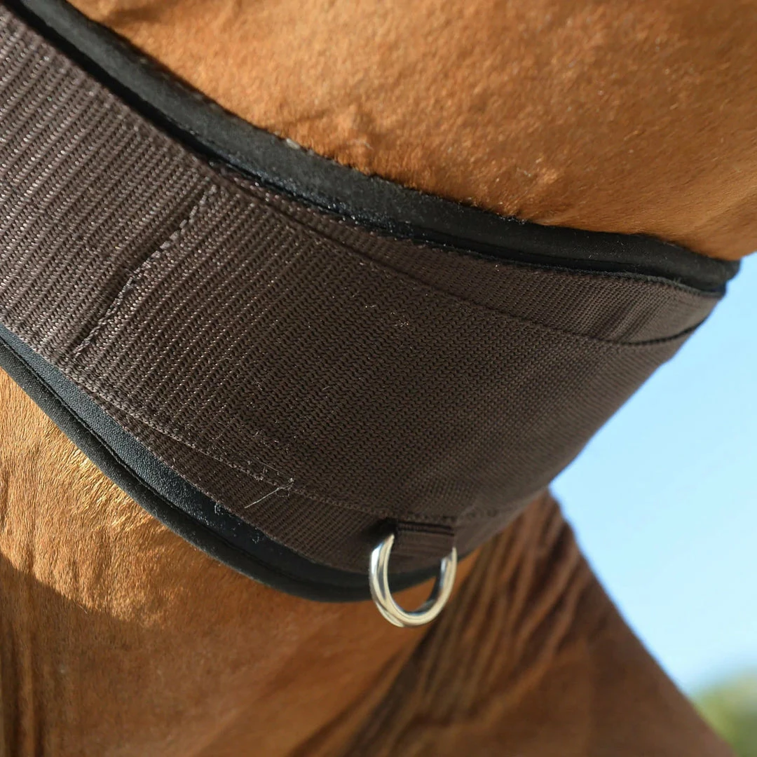 Top 10 ๐ EquiFit Essential Schooling Girth โญ 8 EquiFit Essential Schooling Girth