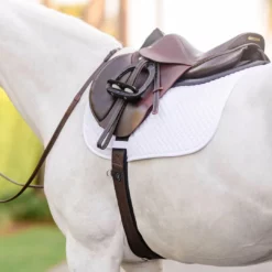 Top 10 ๐ EquiFit Essential Schooling Girth โญ 16 EquiFit Essential Schooling Girth