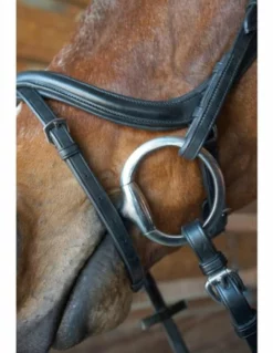 Nunn Finer A Forma Di Shaped Bridle English Bridles