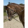 Discount π English Riding Supply Ovation Stretch Cord Draw Reins π 2 English Riding Supply Ovation Stretch Cord Draw Reins