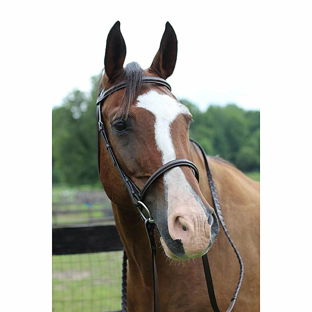Coupon π JPC Equestrian English Bridles HDR Pro Fancy Raised Bridle With Laced Reins π― 3 JPC Equestrian English Bridles HDR Pro Fancy Raised Bridle With Laced Reins