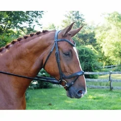 Red Barn By KL Select Arena Ergonomic Bridle