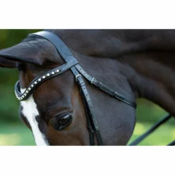 English Bridles Red Barn By KL Select Stride Dressage Bridle