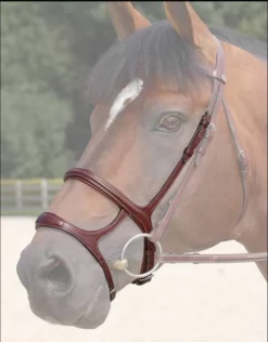 Sagmae Dyon New English Double Noseband