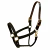 Halters & Leads Walsh Breakaway 1" Halter With Straight Chin