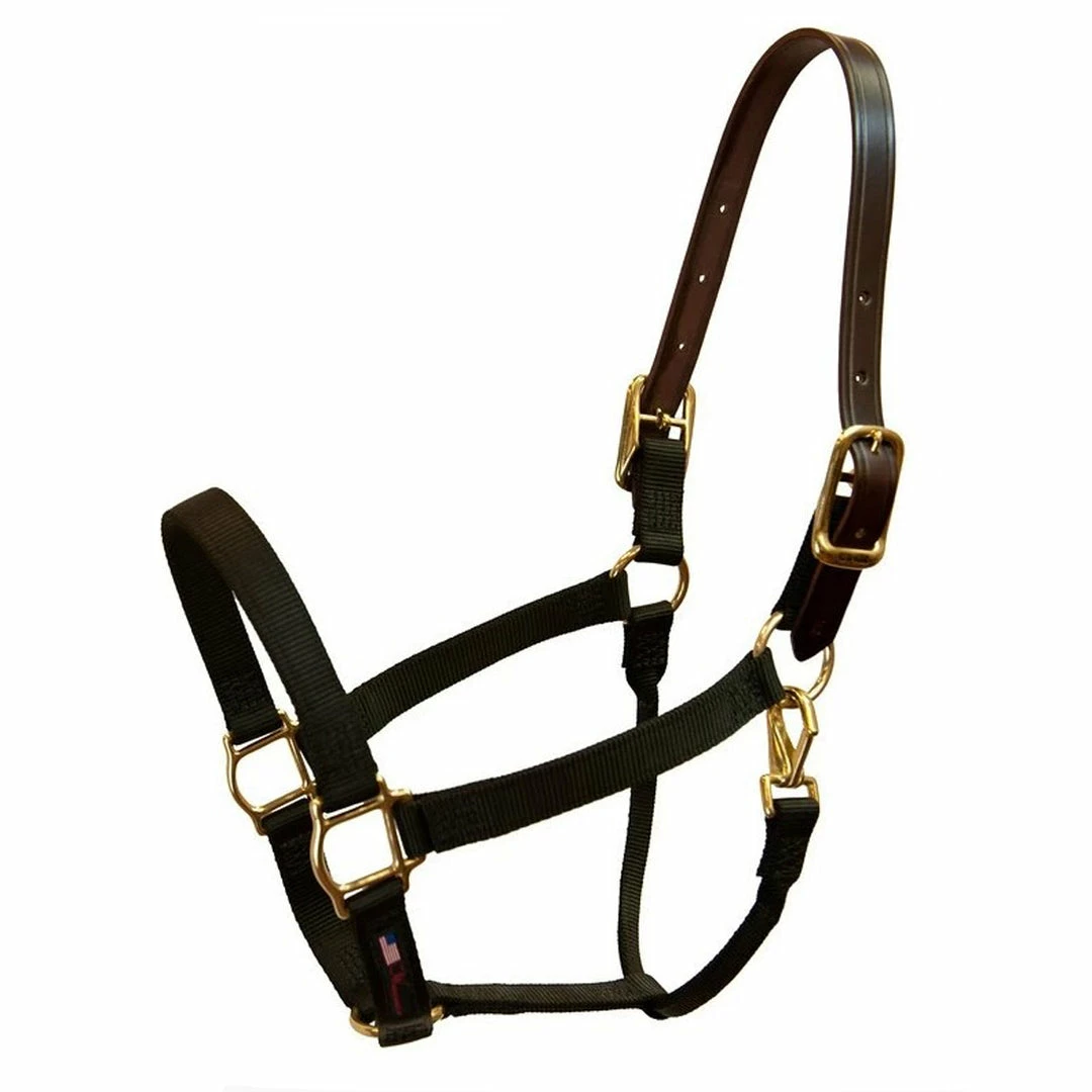 Budget π Halters & Leads Walsh Breakaway 1" Halter With Straight Chin β 3 Halters & Leads Walsh Breakaway 1" Halter With Straight Chin