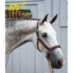 Red Barn By KL Select Devon Ergonomic Halter Halters & Leads