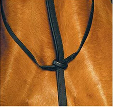 New 💯 Saddlery Brands International Wintec Standing Martingale 💯 5 Saddlery Brands International Wintec Standing Martingale