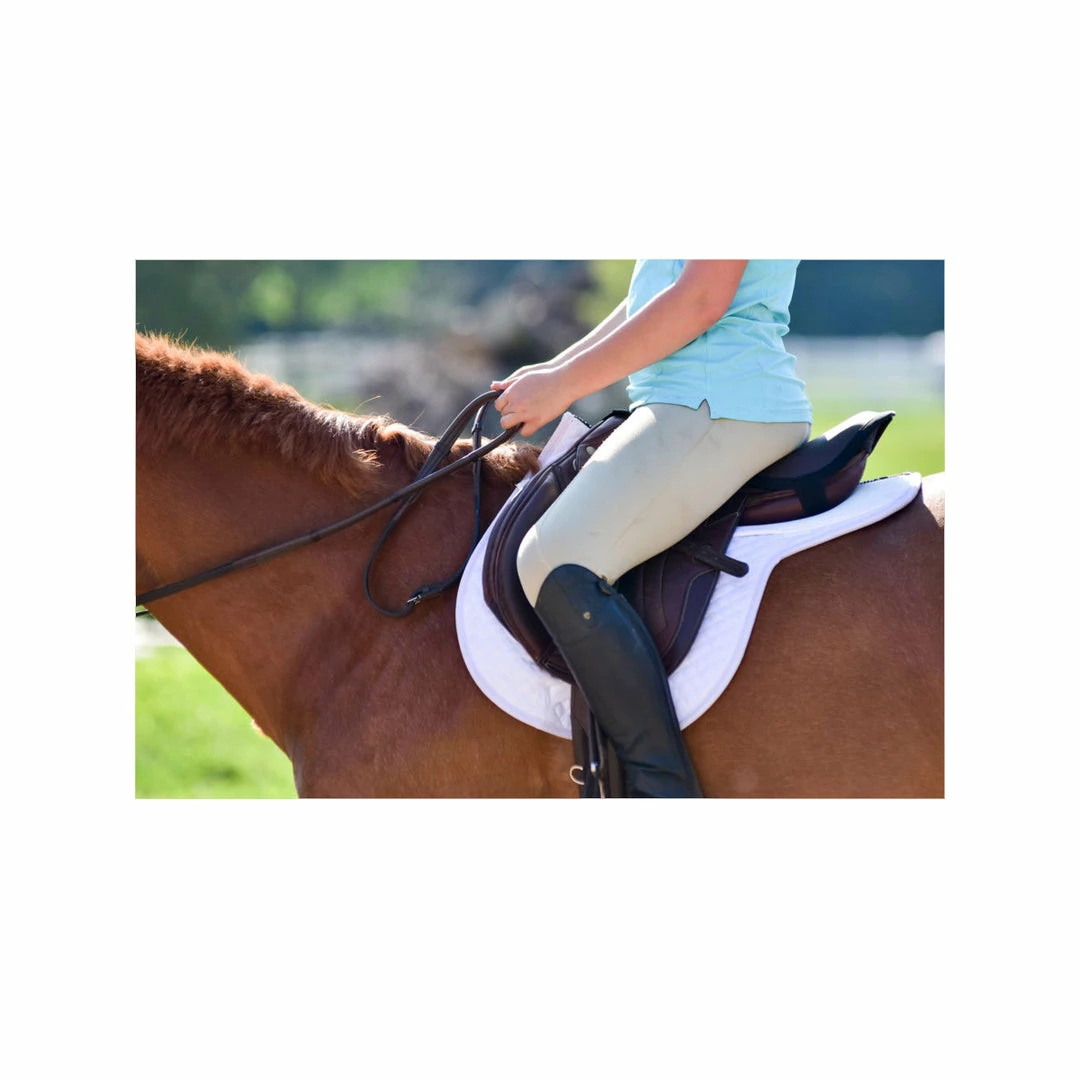 Deals 🛒 Saddle Pads & Fittings ThinLine Cotton Quilted Fitted All Purpose Saddle Pad ✔️ 4 Saddle Pads & Fittings ThinLine Cotton Quilted Fitted All Purpose Saddle Pad