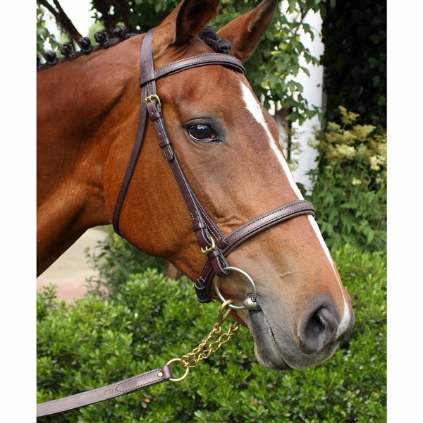 Best reviews of ๐ Nunn Finer Newmarket Shank Halters & Leads ๐ฏ 6 Nunn Finer Newmarket Shank Halters & Leads