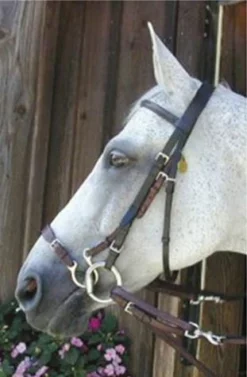 Nunn Finer Kineton Noseband English Bridles