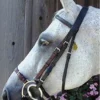 Deals ๐ Nunn Finer Adjustable Lever Noseband English Bridles ๐ 1 Nunn Finer Adjustable Lever Noseband English Bridles
