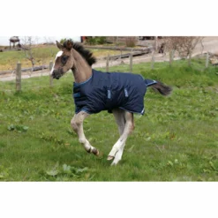 Horseware Amigo Ripstop Foal Turnout 200g Medium Horse Blankets & Stable Sheets