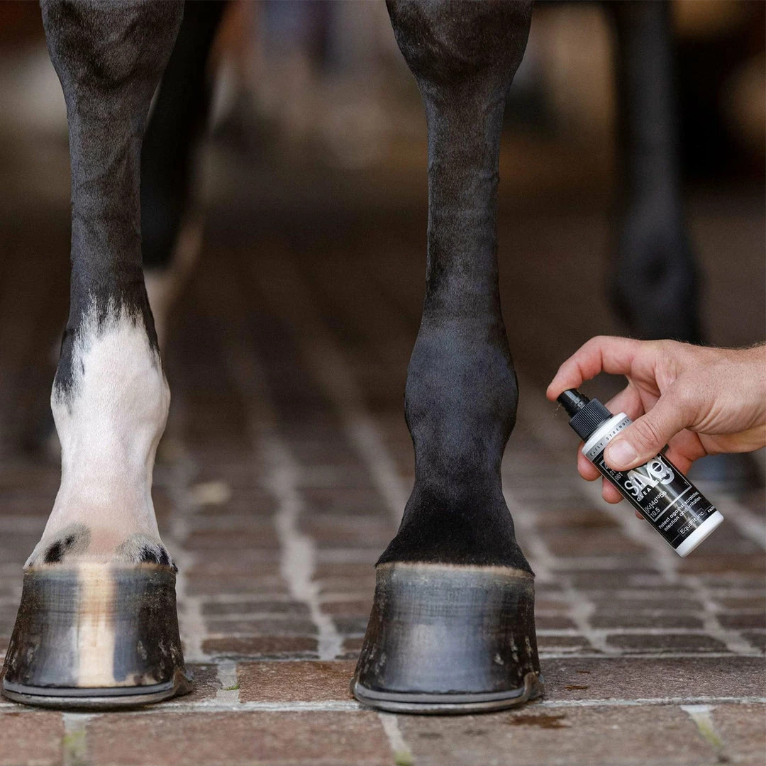 Flash Sale ๐ EquiFit AG Silver Wound Spray โค๏ธ 4 EquiFit AG Silver Wound Spray