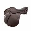 Black Country Quantum Jumping Saddle