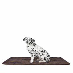 Horse Blankets & Stable Sheets Barbour Large Dog Blanket