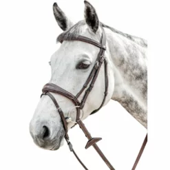 Prestige 3E141 Bridle With Stitching