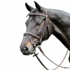 Gifts For Your Horse Prestige 3E037 Fancy Stitched Raised Bridle