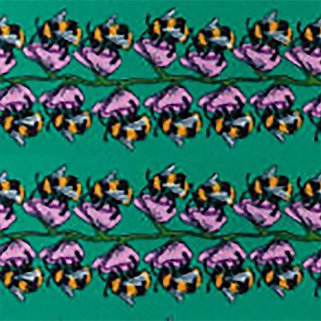 Outlet π Essex Classics Ladies "Busy Bees" Talent Yarn Straight Collar Short Sleeve Show π Shirt βοΈ 4 Essex Classics Ladies "Busy Bees" Talent Yarn Straight Collar Short Sleeve Show Shirt