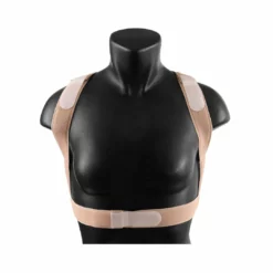 EquiFit ShouldersBack Lite Equestrian Accessories