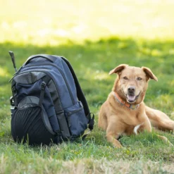 Coupon 𧨠Kerrits EQ π Backpack π 22 Kerrits EQ Backpack