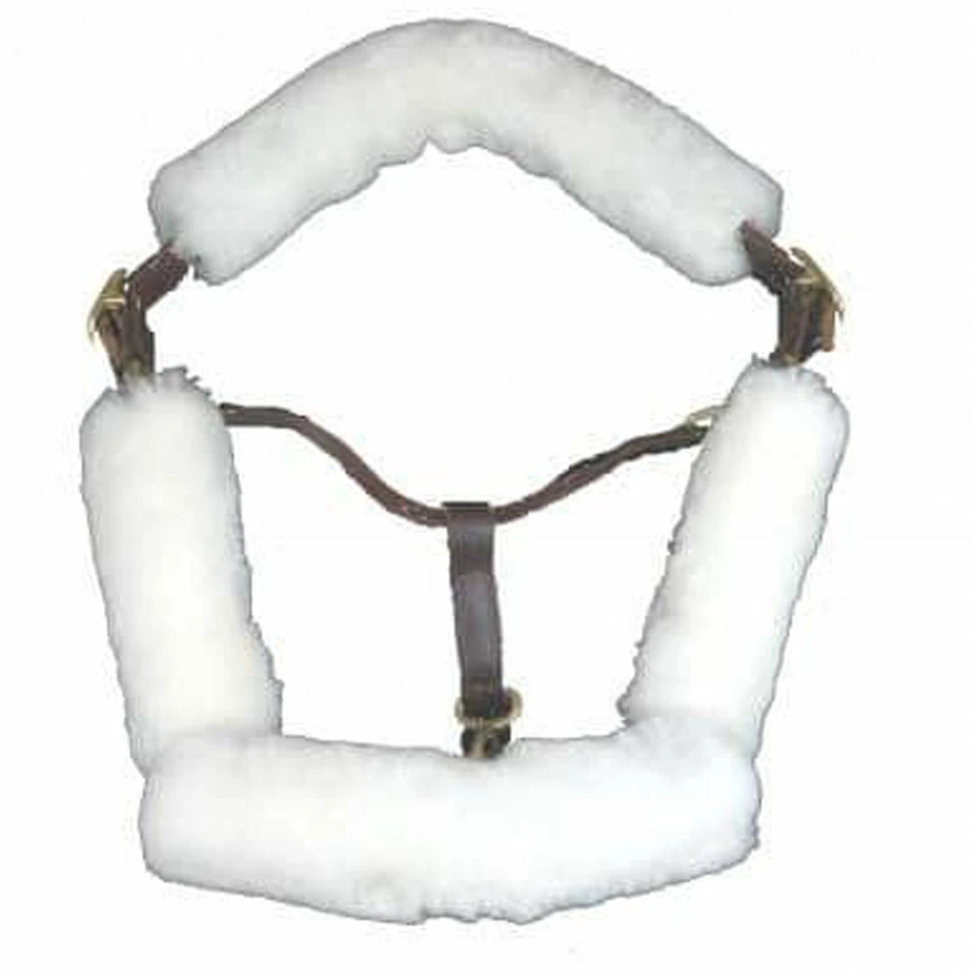 Flash Sale π Halters & Leads Fleeceworks Halter Padded Fleeces π 3 Halters & Leads Fleeceworks Halter Padded Fleeces