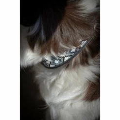 Promo ✔️ French Equestrian Penelope Pearl 🐶 Dog Collar ⭐ 18 French Equestrian Penelope Pearl Dog Collar