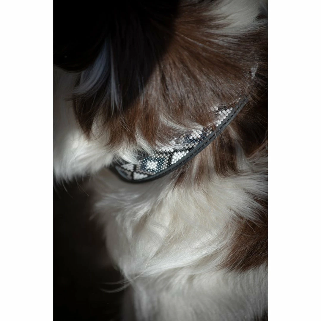 Promo ✔️ French Equestrian Penelope Pearl 🐶 Dog Collar ⭐ 7 French Equestrian Penelope Pearl Dog Collar
